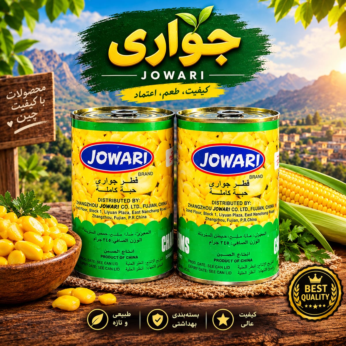 کنسل جواری